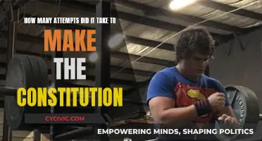 Crafting the Constitution: Multiple Attempts, One Vision