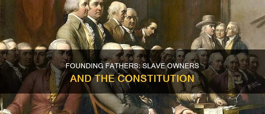 how many authors of the constitution owned slaves
