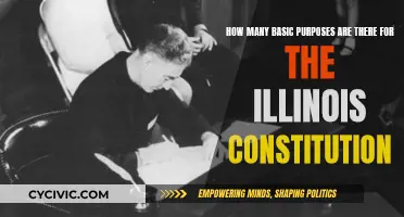 Illinois Constitution: Its Basic Purposes and Their Number