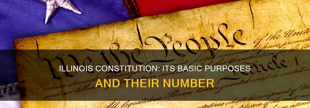 how many basic purposes are there for the illinois constitution