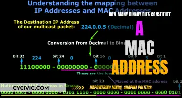 The Fundamentals of MAC Address Binary Bits