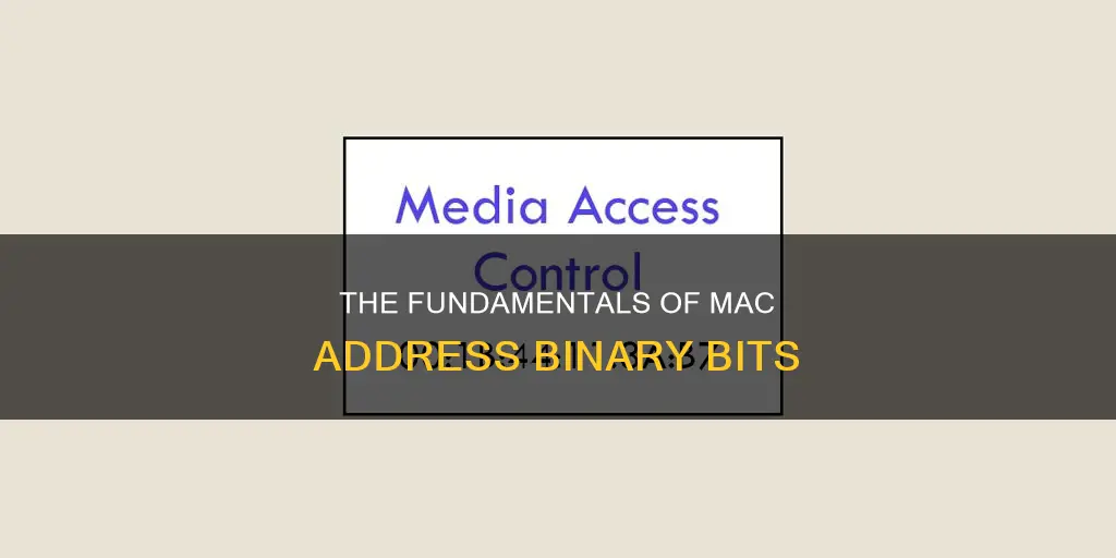 how many binary bits constitute a mac address