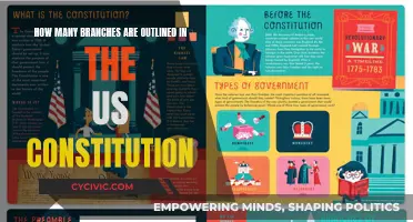 Constitution Branches: Understanding the US System