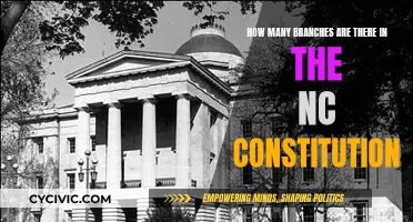 Exploring the NC Constitution: Branch Divisions