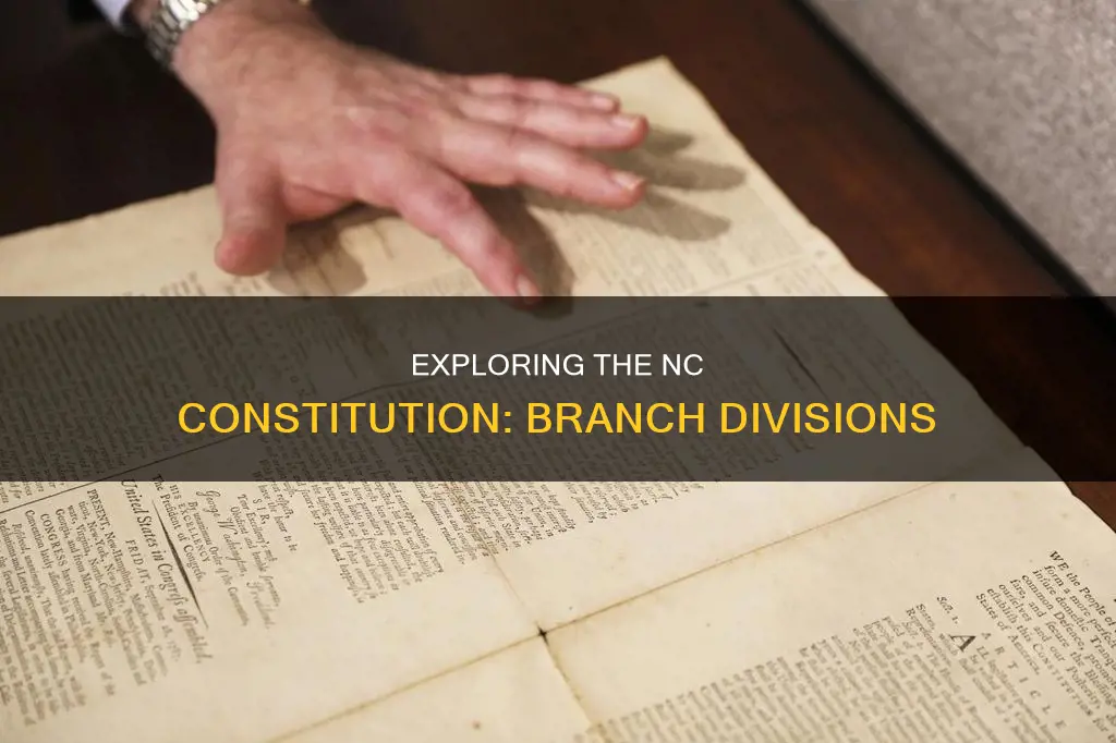 how many branches are there in the nc constitution