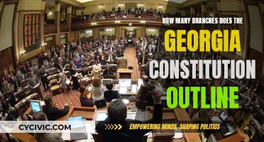 Georgia Constitution: Understanding Its Branch Structure