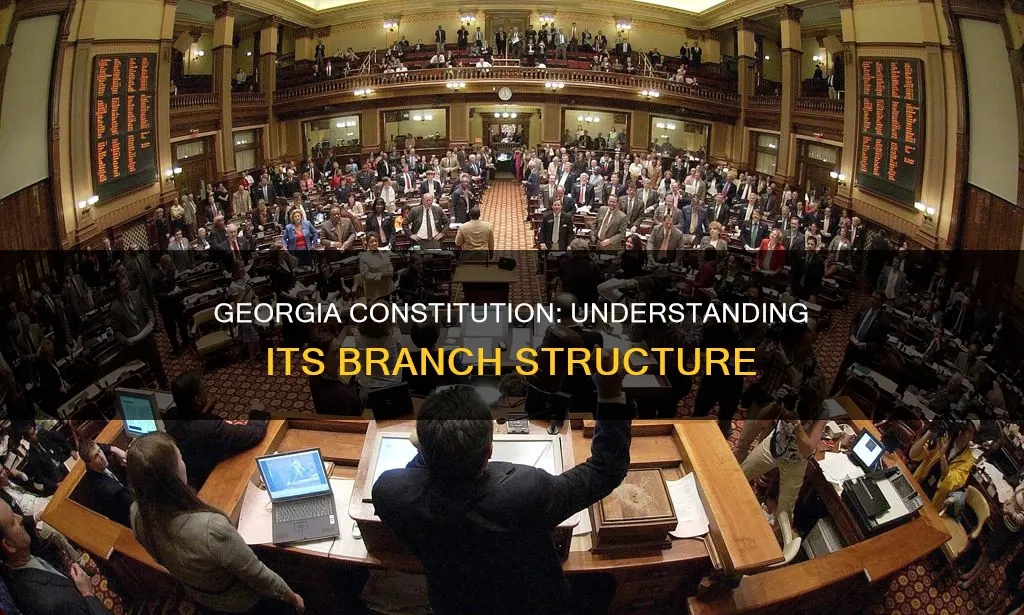 how many branches does the georgia constitution outline