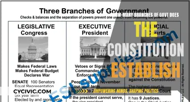 Constitution's Government Branches: How Many?