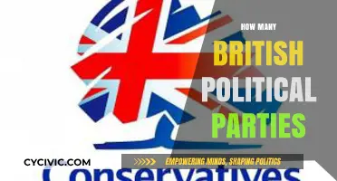 Exploring the Diversity of British Political Parties and Their Roles