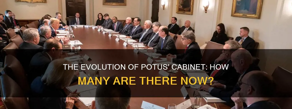 how many cabinet members are there for potus
