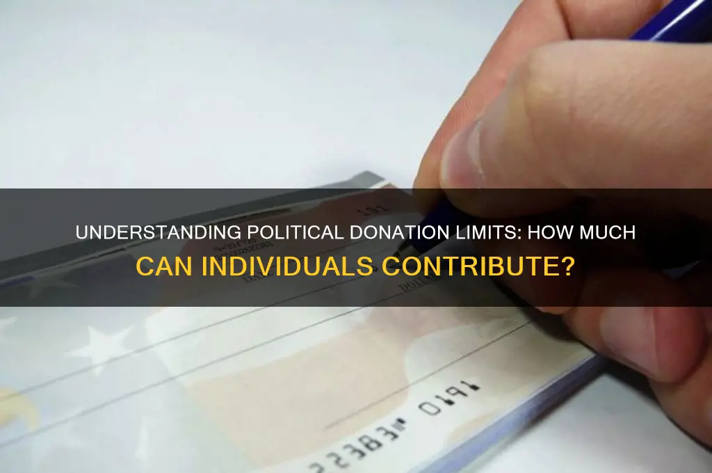 how many can individuals give to political party