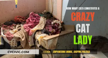 Cat-lady Craziness: When Does the Feline Fun Turn Too Much?