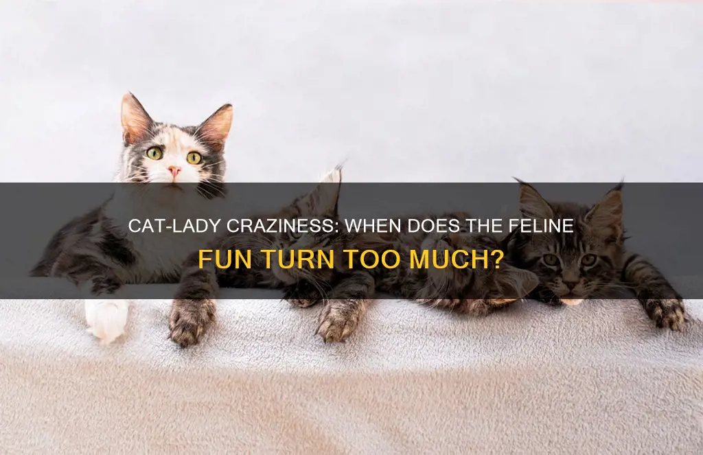 how many cats constitutes a crazy cat lady