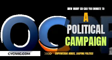 Political Campaign Donations: How Much Can You Give?