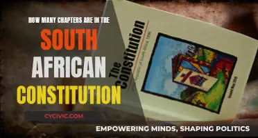 The Constitution of South Africa: A Comprehensive Chapter Guide