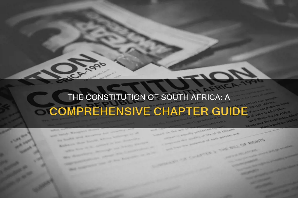 how many chapters are in the south african constitution