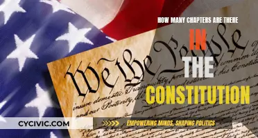 The Constitution: Chapters of Our Nation's Foundation