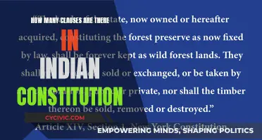 The Evolution of India's Constitution: Understanding Its Many Clauses