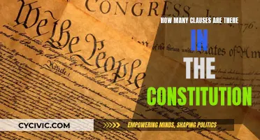 Constitution's Building Blocks: Understanding Each Clause