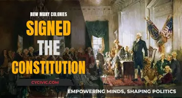 The Founding: Constitution Signatories and the American Colonies