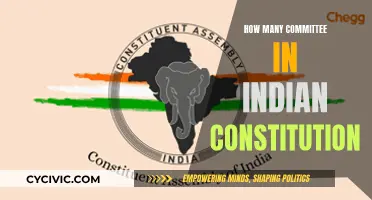 Committees in the Indian Constitution: A Comprehensive Overview