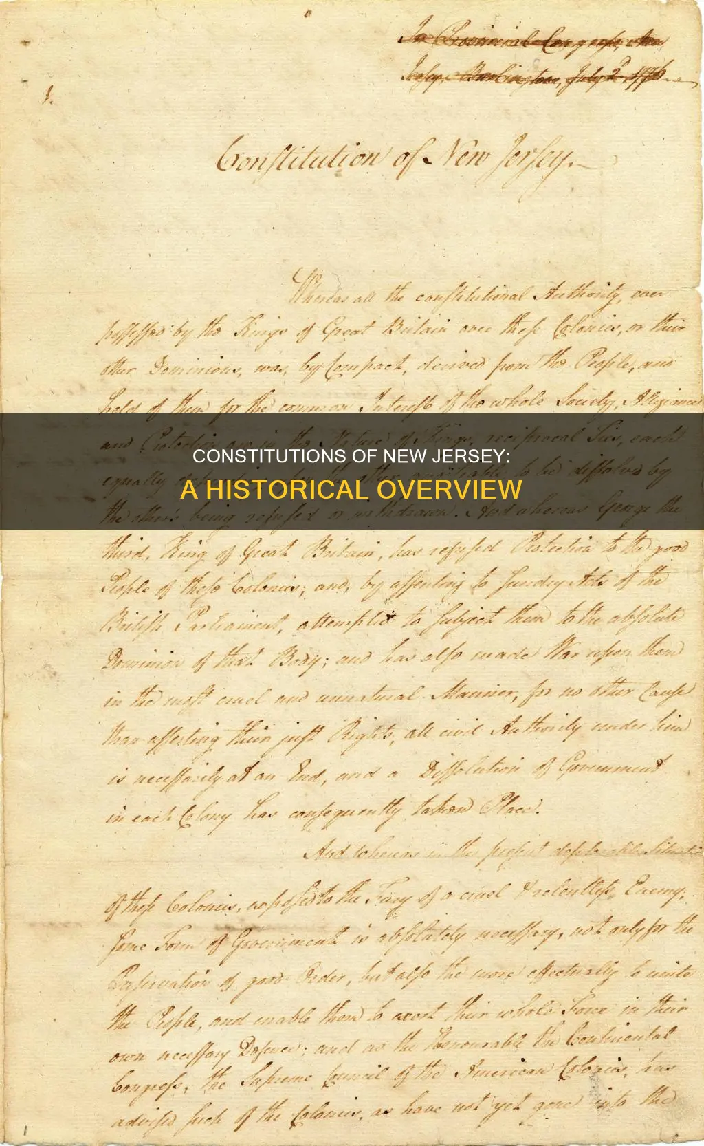 how many constitution are there made by nj