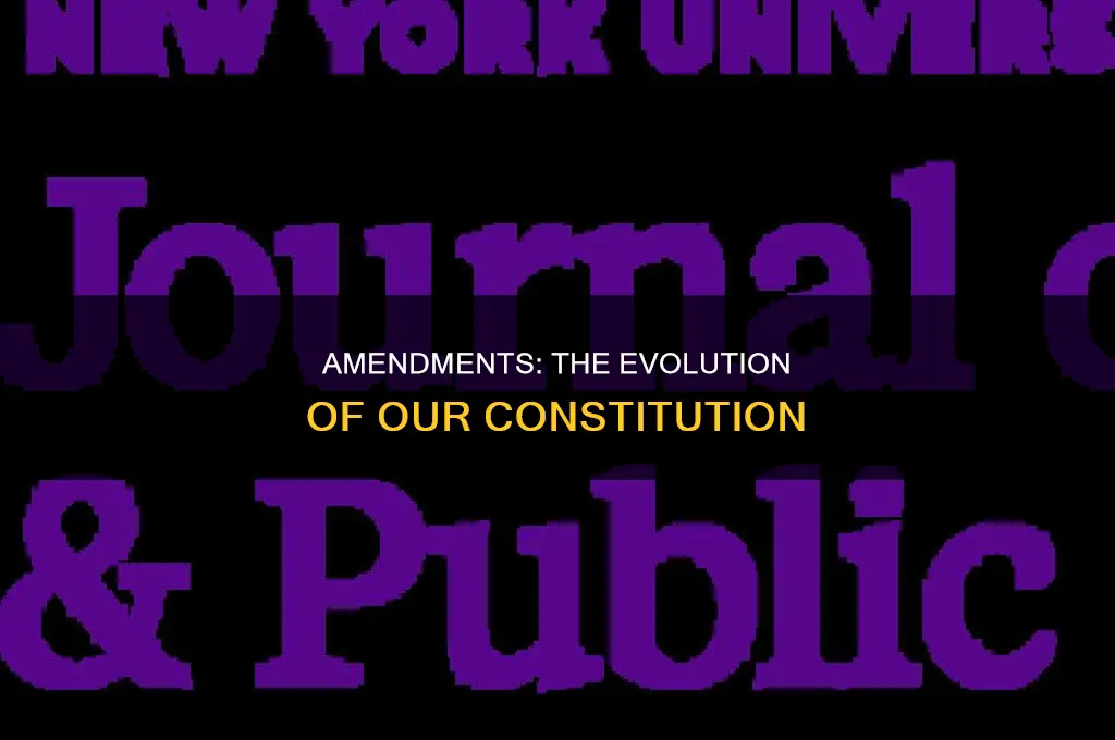 how many constitutional amendments