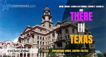 Texas's Constitutional County Courts: How Many Exist?