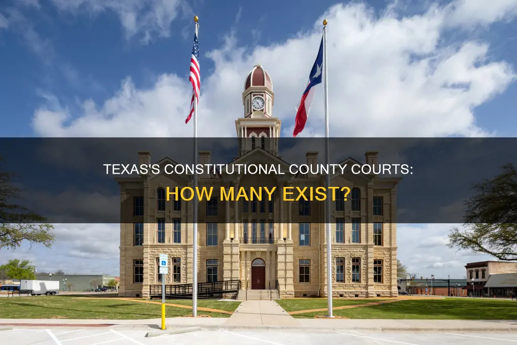 how many constitutional county courts are there in texas