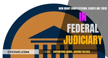 Constitutional Courts: The Federal Judiciary's Powerhouses