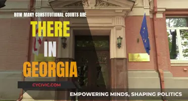 Constitutional Courts in Georgia: How Many?