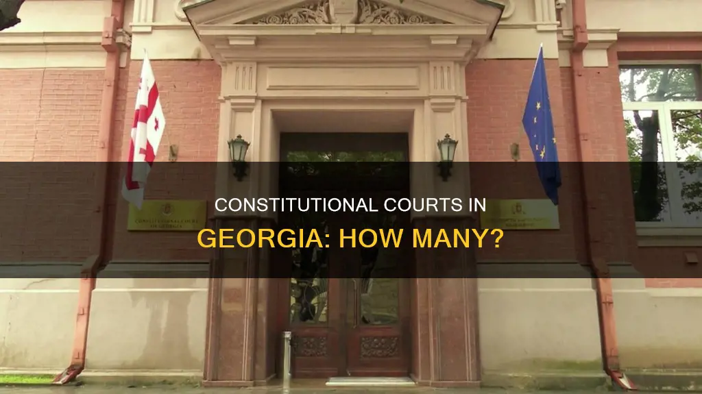 how many constitutional courts are there in georgia