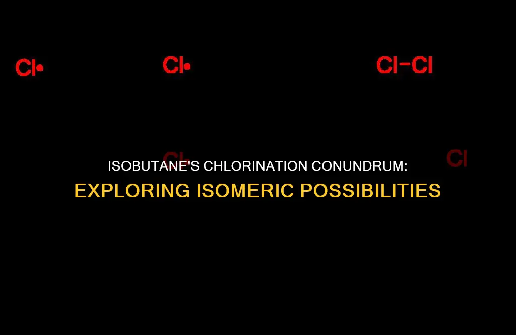 how many constitutional isomers are formed from monochlorination of isobutane