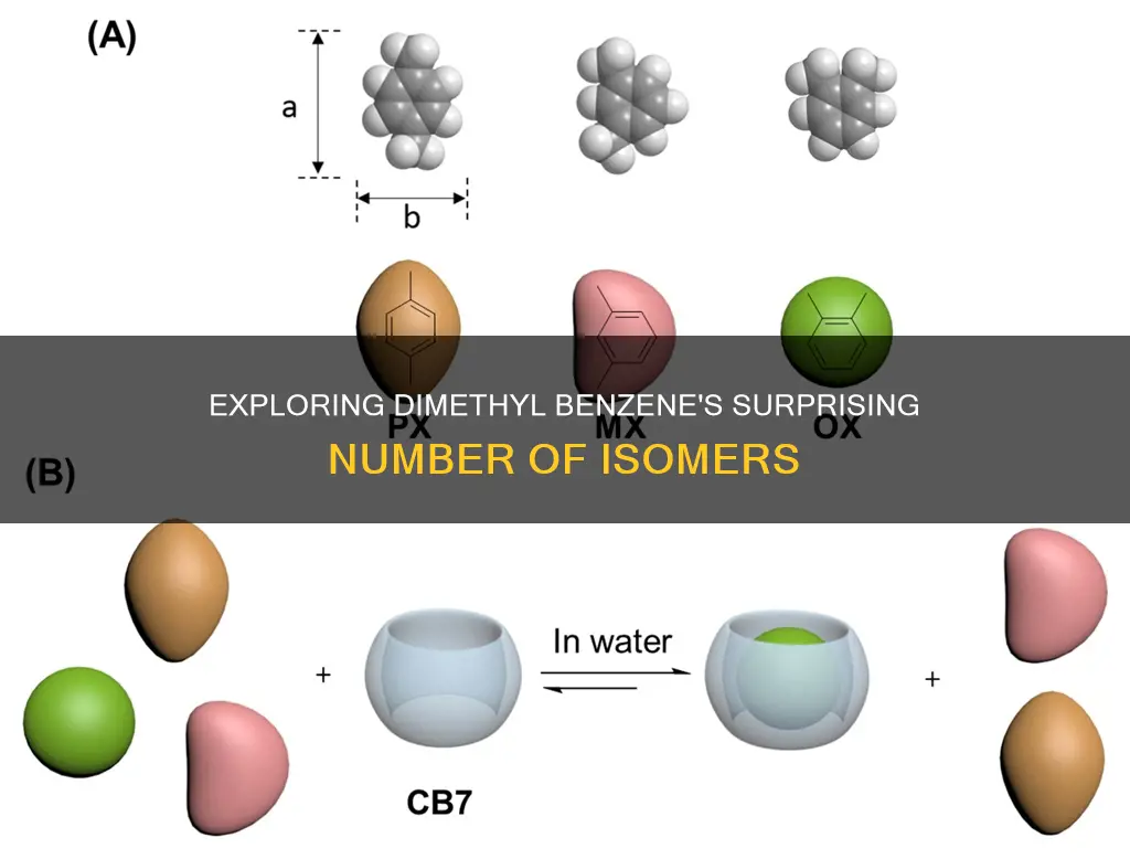 how many constitutional isomers does dimethyl benzene have