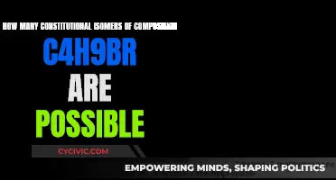 Explore the Isomeric Possibilities of C4H9Br