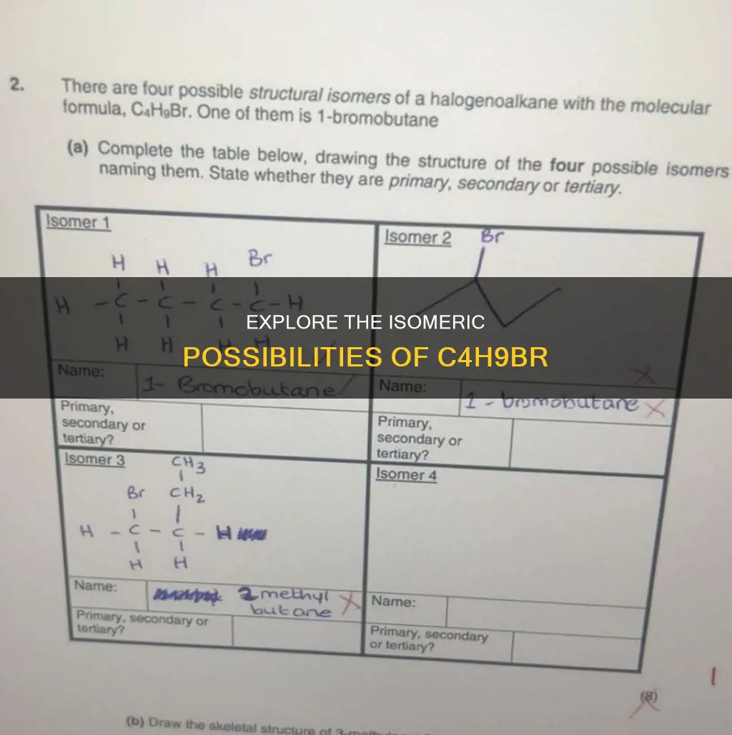 how many constitutional isomers of composition c4h9br are possible