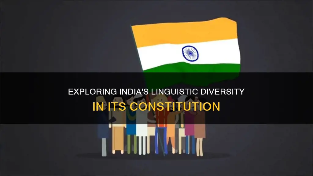 how many constitutional language of india