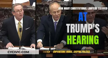 Constitutional Lawyers Testified Against Trump: How Many?