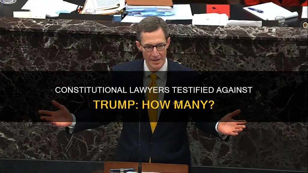 how many constitutional lawyers testified at trump