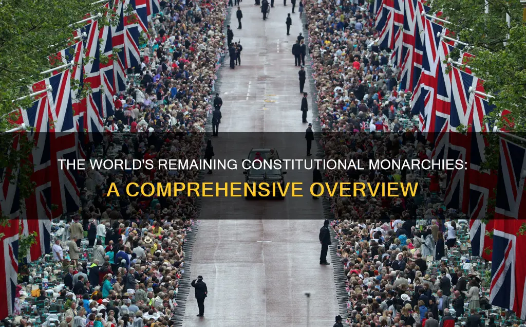 how many constitutional monarchies are left in the world