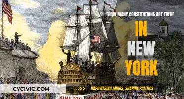 Constitutions Shaping New York's History and Future