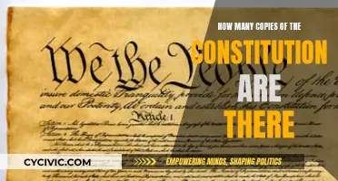 The Evolution of the US Constitution: Multiple Copies