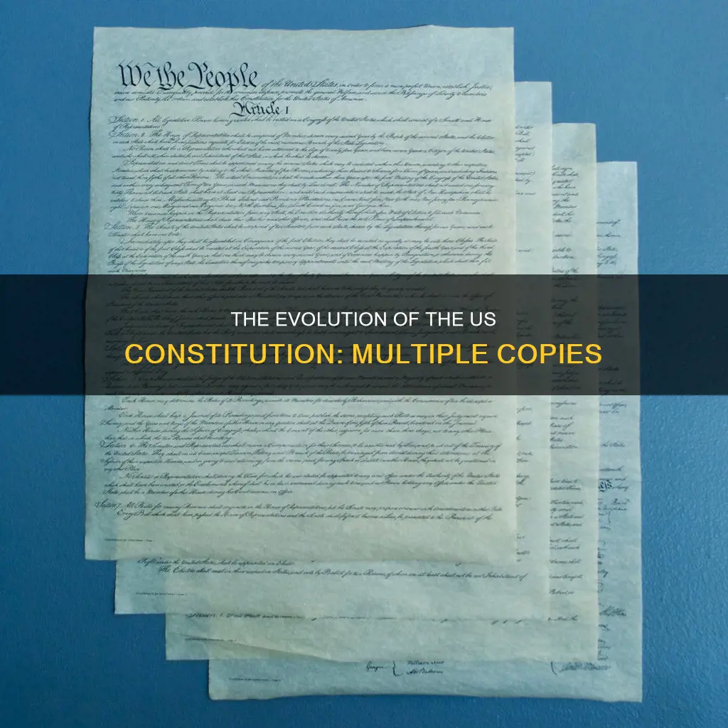 how many copies of the constitution are there