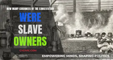Founding Fathers: Slave Owners and the Constitution