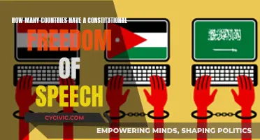 Constitutional Freedom of Speech: A Global Overview