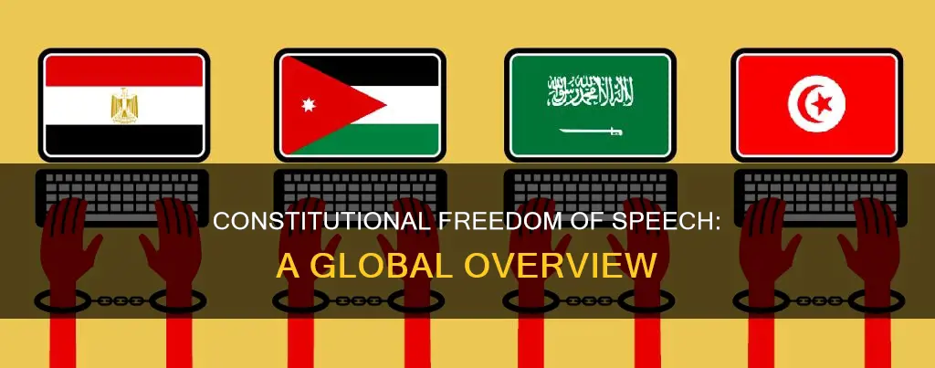 how many countries have a constitutional freedom of speech