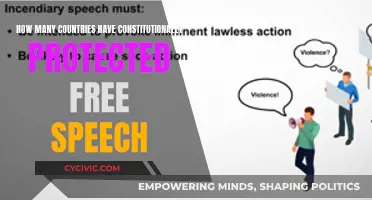 Constitutional Free Speech: How Many Countries Protect This Right?
