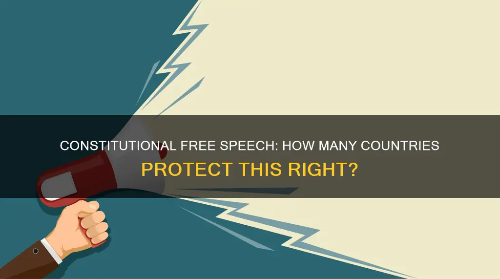 how many countries have constitutionally protected free speech
