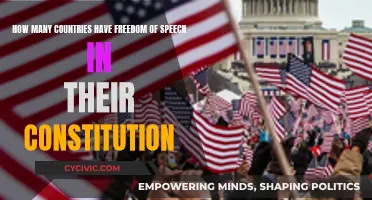Constitutions with Freedom of Speech: A Global Overview