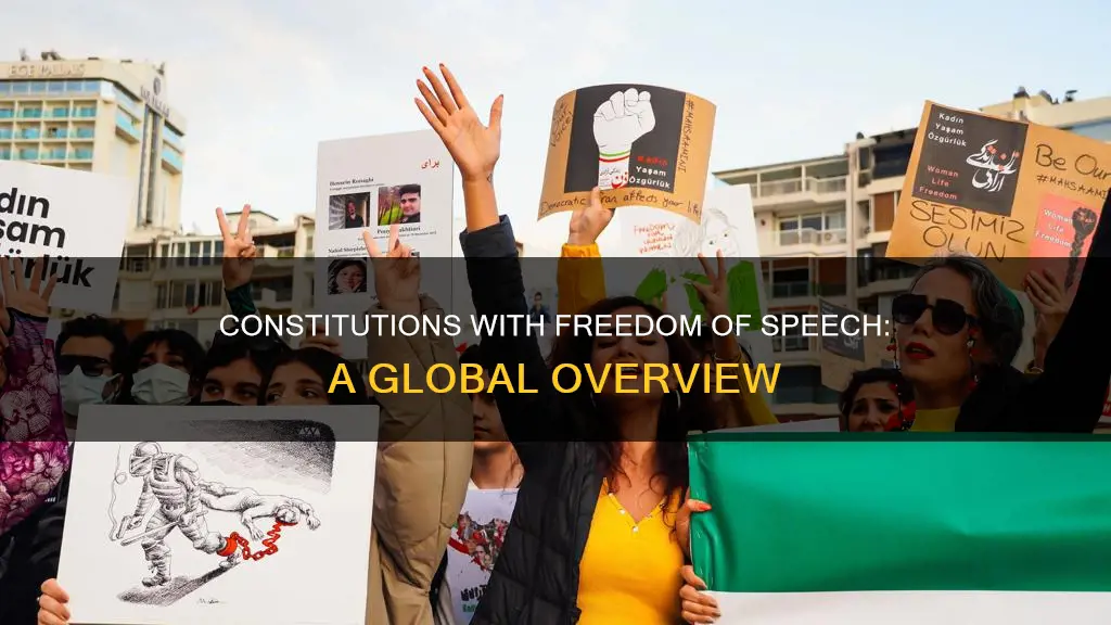 how many countries have freedom of speech in their constitution